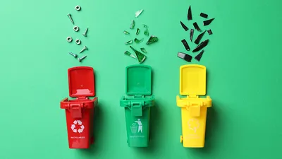 Сортировка мусора для детей: как привить привычку детям беречь природу