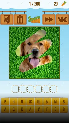Сотри картинку Угадай животное - Загрузить APK для Android | Aptoide