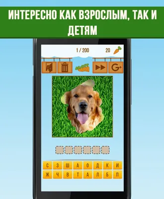 Скачать Сотри картинку Угадай животное APK v.9.6 на Android (almond studio)