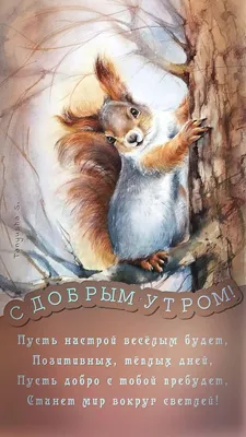Советские открытки доброе утро зима (33 фото) » рисунки для срисовки на  Газ-квас.ком