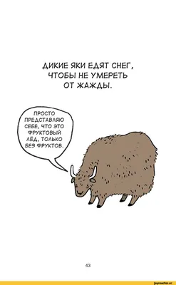 Избегайте стерилизации собак, спаривания партнера, полового акта плюшевый  Играть Игрушка Французский бульдог, домашнее животное, эструс, Мужская  собака, Секс Забавный | AliExpress