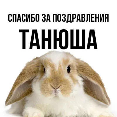 Шоколад молочный \"Спасибо\" Таня — купить в интернет-магазине по низкой цене  на Яндекс Маркете