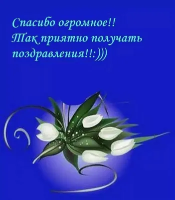 Открытка в подарок \"Спасибо за то, что ты есть\" купить в Раменском по  выгодной цене | MaxFlora