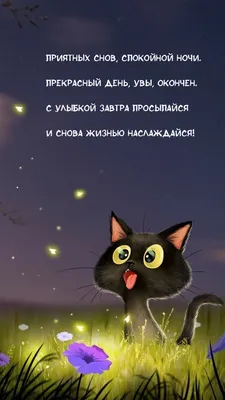 Ресторатор (Restorator) – Спокойной ночи (Good night) Lyrics | Genius Lyrics