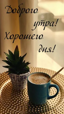 Добрейшего утра! Хорошего дня 🤗😊😜🌞🌞🌞🌈 #доброеутро #настроение  #позитив #gudmorning #мантра #аффирмации #юмор #кофе #завтрак | Instagram