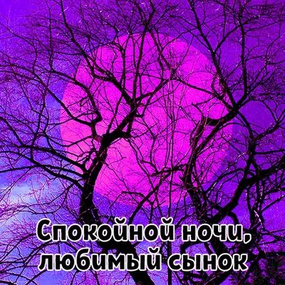 Спокойной ночи ксюша картинки (50 фото) » Юмор, позитив и много смешных  картинок