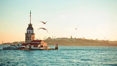 Istanbul, turkey, suleimanie, Стамбул, фото в Стамбуле, фото пар, couple |  Стамбул турция, Стамбул, Фотосъемка