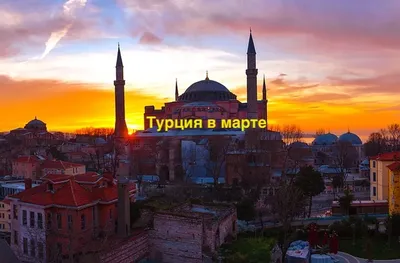 Моя поездка в Стамбул в 2023 году и отзывы туристов | Tripex