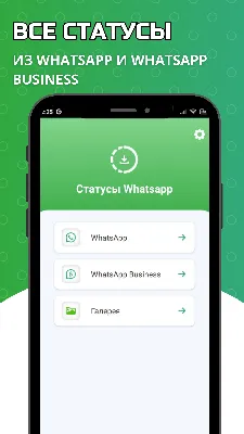 В мессенджер WhatsApp добавят самоуничтожающиеся статусы - KP.RU