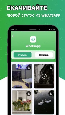 Статусы WhatsApp - сохранить статусы из ватсап – скачать приложение для  Android – Каталог RuStore