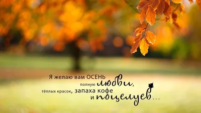 Осень в картинках - купить подготовки к школе в интернет-магазинах, цены в  Москве на Мегамаркет | 30710