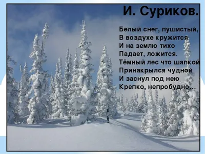 №4 Тематический комплект «Зима»: 248 страниц + БОНУС
