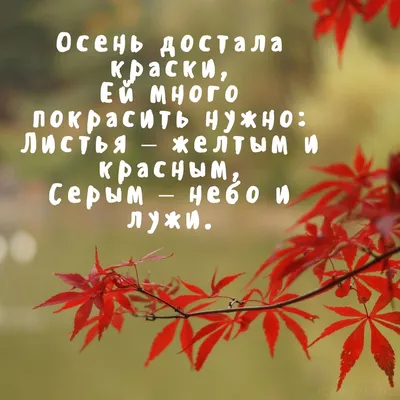 СЕНТЯБРЬ Осень достала краски, Ей много покрасить нужно: Листья – желтым и  красным, Серым – небо и лужи. ОКТЯБРЬ Дождь льет … | Цитаты, Осень,  Счастливые картинки