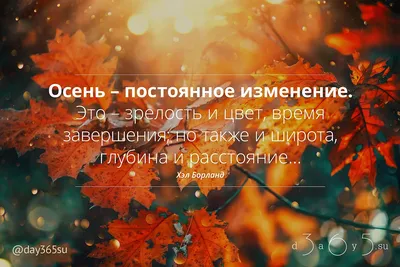Осень, богатая мудростью и красотой (Юилина Родионова) / Читать онлайн