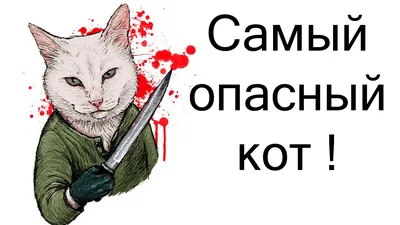 Его все гоняют, а он не умирает. Хотя кому он нужен – облезлый, страшный кот  | Правмир