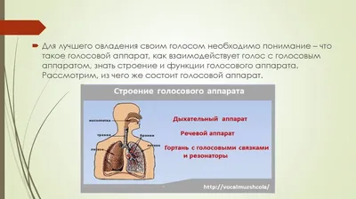 Фонетика и фонология русского языка | Педагогический факультет Университета  им. Масарика