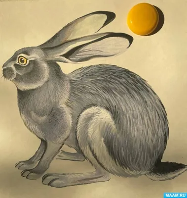 рисунок раскраска кролик с подарочной коробкой PNG , рисунок кролика,  рисунок кольца, рисунок подарочной коробки PNG картинки и пнг PSD рисунок  для бесплатной загрузки