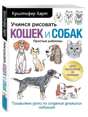 Шпиц в Саратове с родословной купить щенка декоративной собаки карманная  собака в Саратове стандарты шпицов купить щенка Шпица в Саратове с  документами