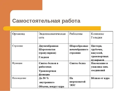 Строение животной клетки рисунок