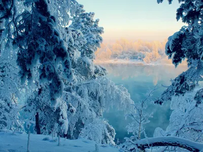 Снежная суббота: -2 градуса и гололед прогнозируют в Новосибирске 2 декабря  - KP.RU