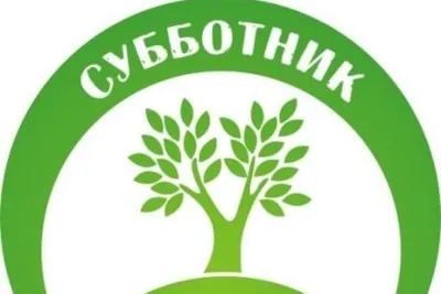 Экологи позвали жителей Воронежа на субботник в Северный лес