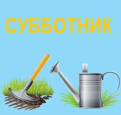 Субботник в институте