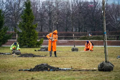 Общегородской субботник 2023