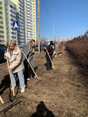 Вместе весело шагать на субботник! - Новости Тулуна