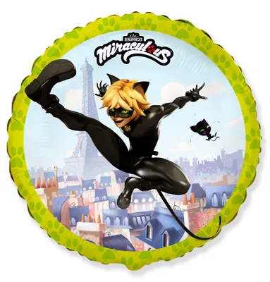 Фигурка Miraculous Супер-Кот 13 см с аксессуарами купить по цене 599 ₽ в  интернет-магазине Детский мир