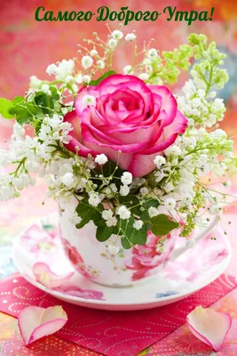 доброе утро. стакан ароматного жасминового чая и свежие цветы на деревянном  столе Стоковое Изображение - изображение насчитывающей завод, приветствие:  227791243