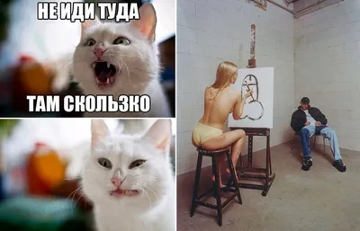 Самые смешные картинки с надписями! Видеоприколы 2024 | ВКонтакте