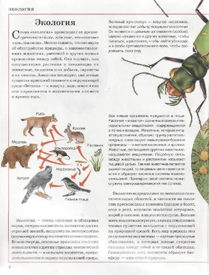 Нейросеть нарисовала, как выглядели вымершие животные и растения — вот, что  получилось! | myDecor