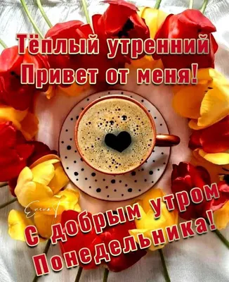 Чашечка горячего привета! ~ Открытки ~ zhivopismira.ru