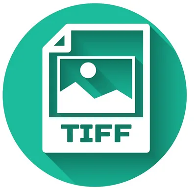 TIFF File: Definition, How to Open and Convert?