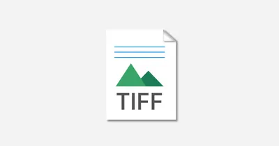 TIFF image file – A guide to the unique file type | Canto