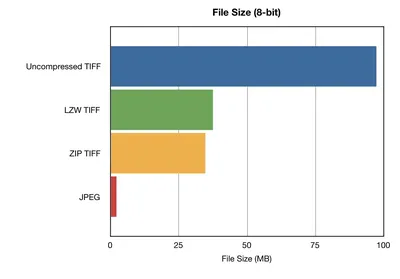 What's the Difference Between PNG, JPEG, GIF, and TIFF? | Acquia