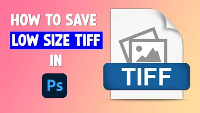RAW vs TIFF: Which File Type Should You Use for Photography?