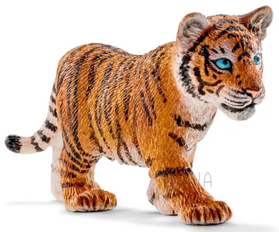 В Бакинском зоопарке впервые родился детеныш тигра - фото - 13.06.2022,  Sputnik Азербайджан