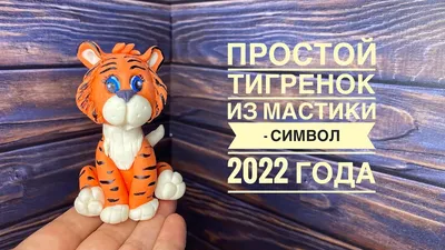 С виду тигр, а на деле тигренок: в Ленинградском зоопарке показали, как  подрос полосатый детеныш Зевз