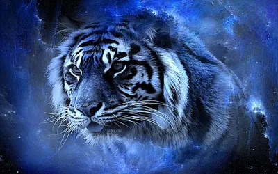 WWF России и Frosch запустили акцию по спасению амурского тигра - Recycle