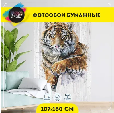 60x100 cм, Белый тигр Интерьерная картина на холсте на стену - Купить  картины недорогие современные холст в спальню, гостиную, кухню Украина, цена