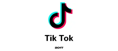 Как пользоваться приложением TikTok? Пошаговая инструкция для новичков -  YouTube