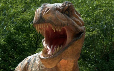 https://focus.ua/technologies/620351-uchenye-obnaruzhili-novyy-vid-tirannozavra-on-starshe-tyrannosaurus-rex-na-6-mln-let-foto