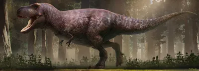 Тираннозавр-гроссмейстер: Как охотился крупнейший хищник | Цитадель  адеквата | Дзен