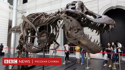 Ретро против современности. Часть 22. Тираннозавр (Tyrannosaurus Rex) -  Альтернативная История