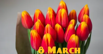 Обои на рабочий стол Букет бело-розовых тюльпанов и надпись (С женским днем 8  марта!), обои для рабочего стола, скачать обои, обои бесплатно