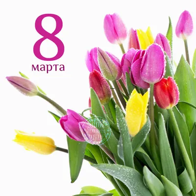 Заказать тюльпаны на 8 марта FL-2301 купить - хорошая цена на тюльпаны на 8  марта с доставкой - FLORAN.com.ua