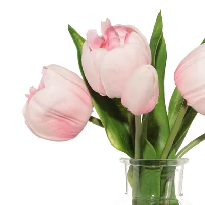 Чтобы тюльпаны не поникли, и действительно ли они растут в вазе | Семена  декоративных растений для сада и дома | Дзен