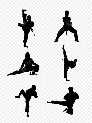World Taekwondo изучит включение крымской федерации в Союз тхэквондо России  - РИА Новости Спорт, 30.05.2023