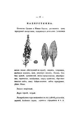 Детский травник, купить по лучшей цене Детский травник, Познавательная и  развивающая литература, продажа Познавательная и развивающая литература,  Книги для детей, Белый город в интернет-магазине детских товаров москва